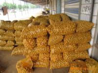 肥城潤(rùn)通進(jìn)出口貿(mào)易 日用品貿(mào)易的穩(wěn)健發(fā)展之路